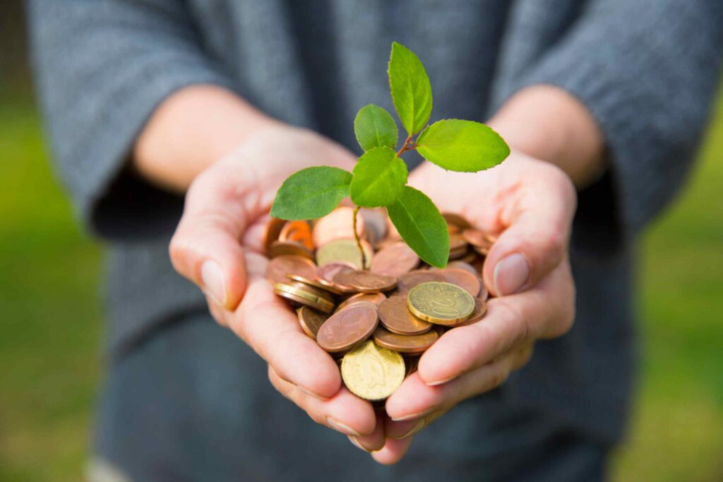 Wealth Creation